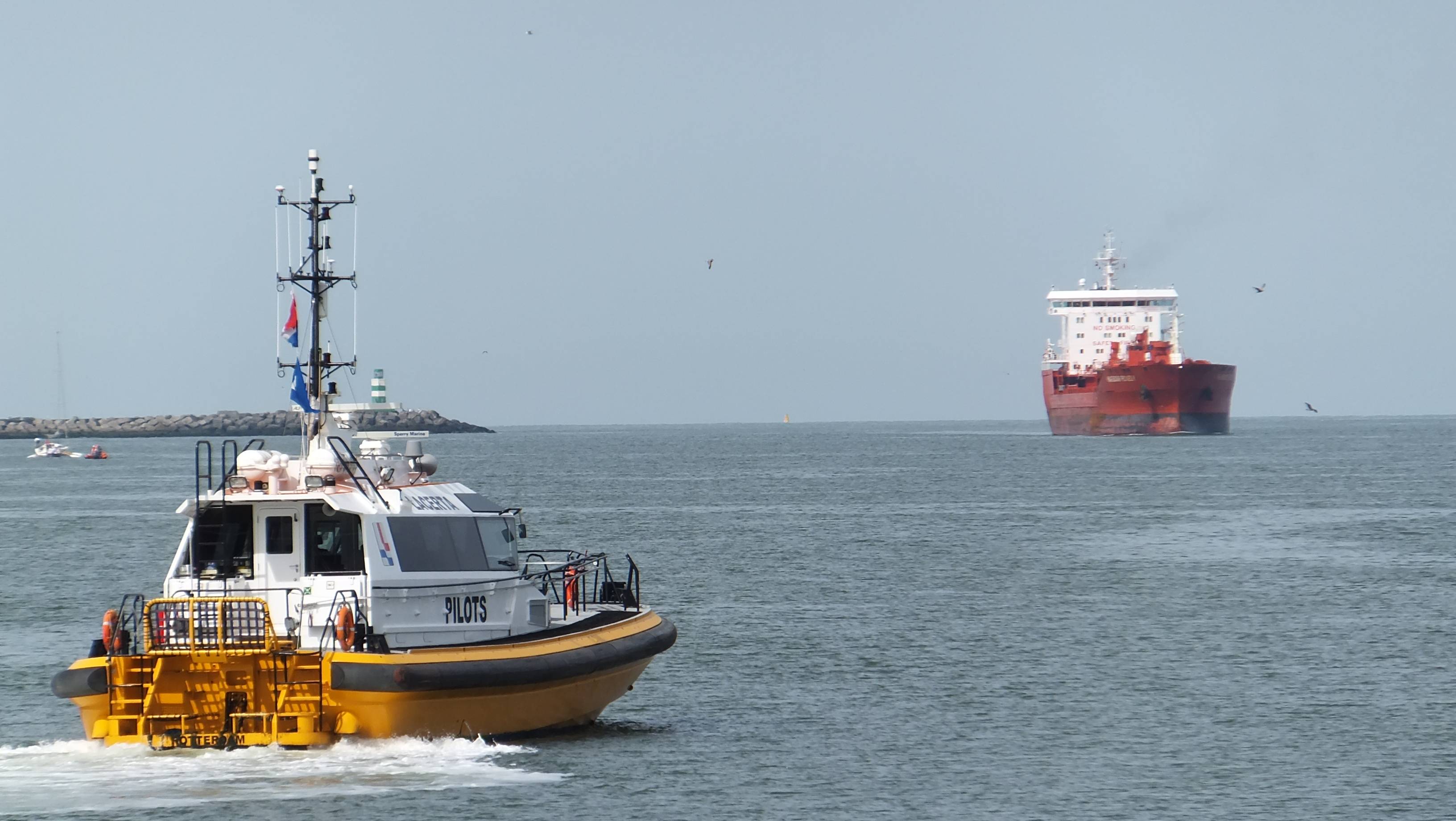 Pieren IJmuiden 01-08-15 